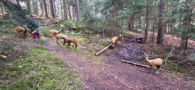 Abenberg 800er 021-bogenschiessen