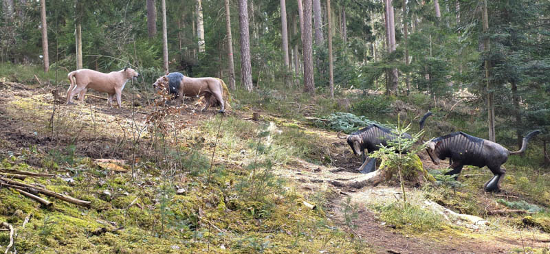 Abenberg 800er 023-bogenschiessen
