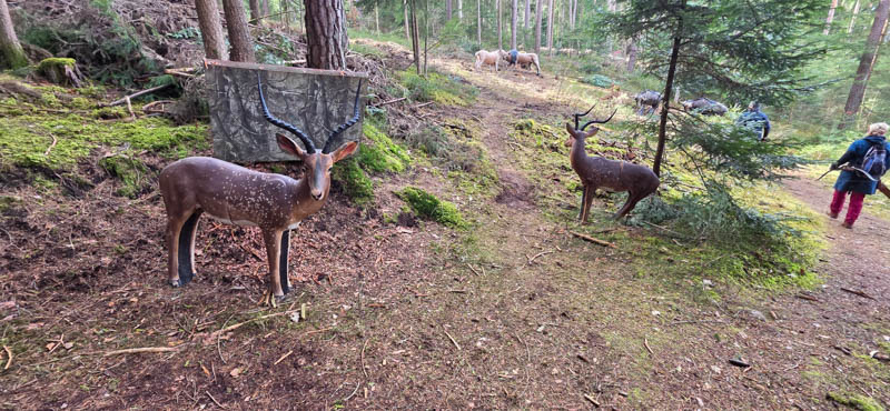 Abenberg 800er 024-bogenschiessen