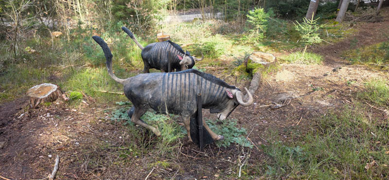 Abenberg 800er 025-bogenschiessen