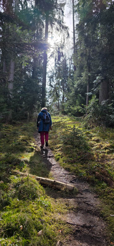Abenberg 800er 026-bogenschiessen