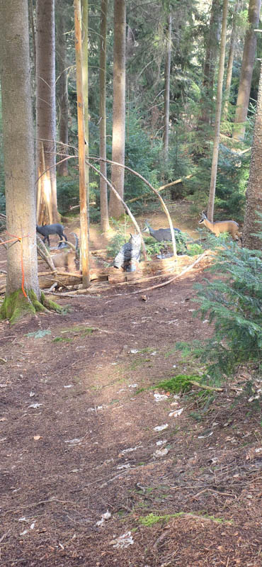 Abenberg 800er 027-bogenschiessen