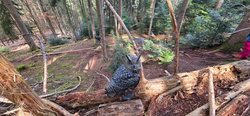 Abenberg 800er 028-bogenschiessen