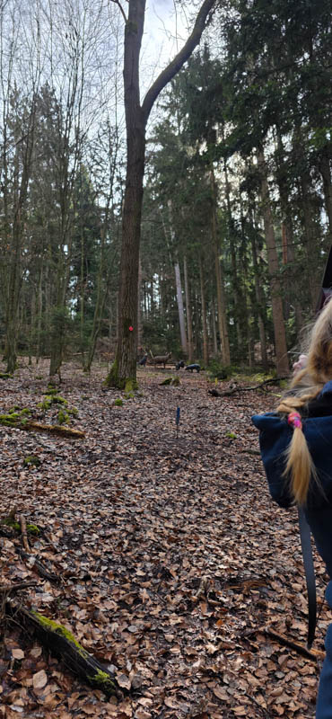 Abenberg 800er 029-bogenschiessen