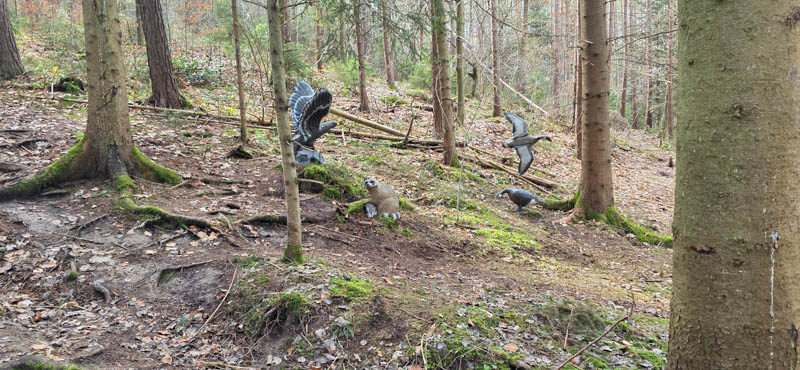 Abenberg 800er 030-bogenschiessen