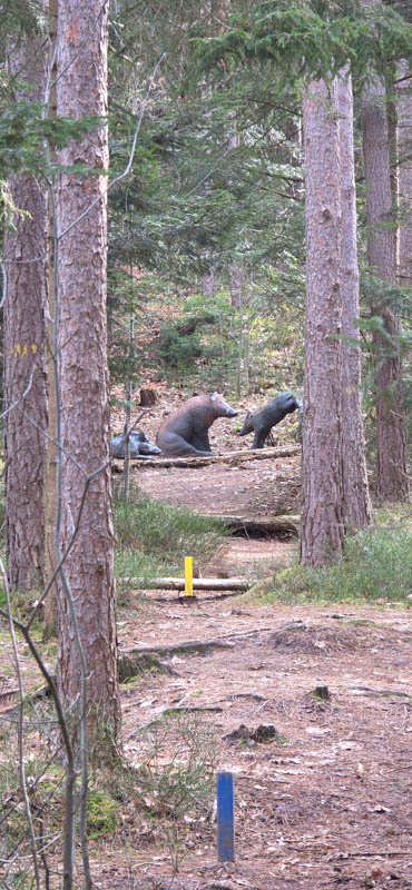 Abenberg 800er 032-bogenschiessen