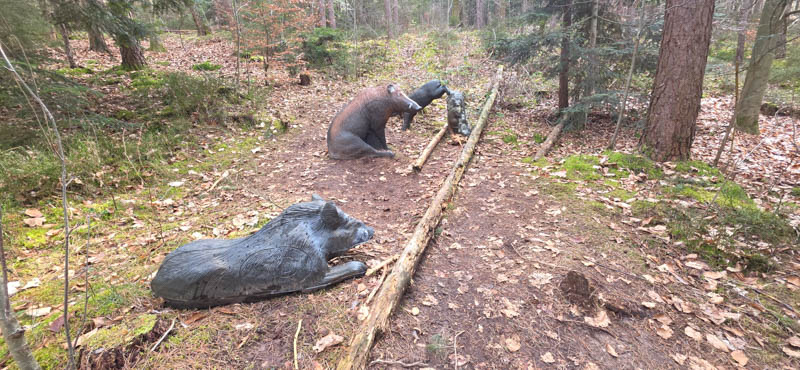 Abenberg 800er 033-bogenschiessen