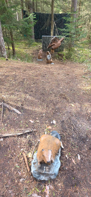 Abenberg 800er 034-bogenschiessen