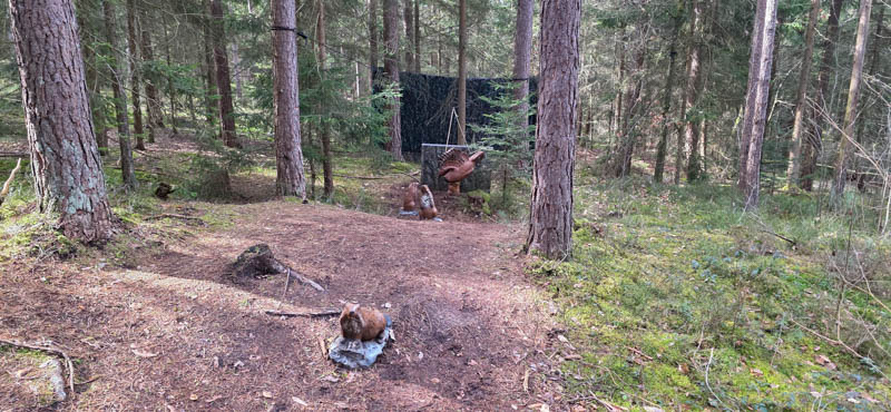 Abenberg 800er 035-bogenschiessen