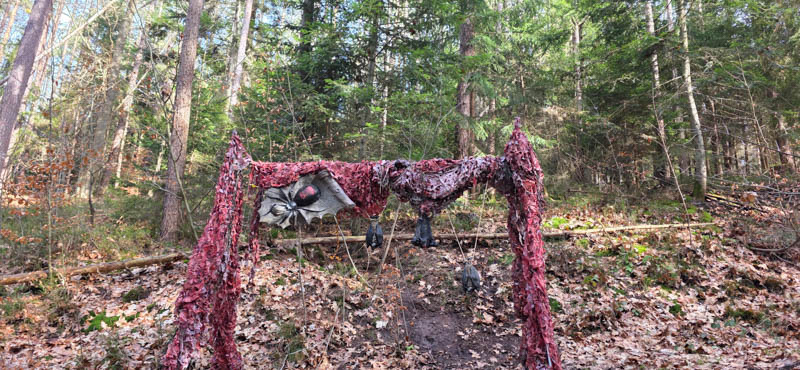 Abenberg 800er 041-bogenschiessen