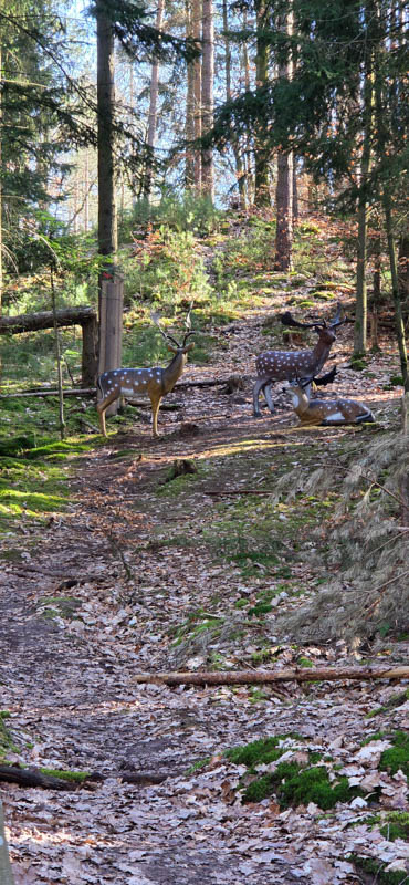 Abenberg 800er 049-bogenschiessen