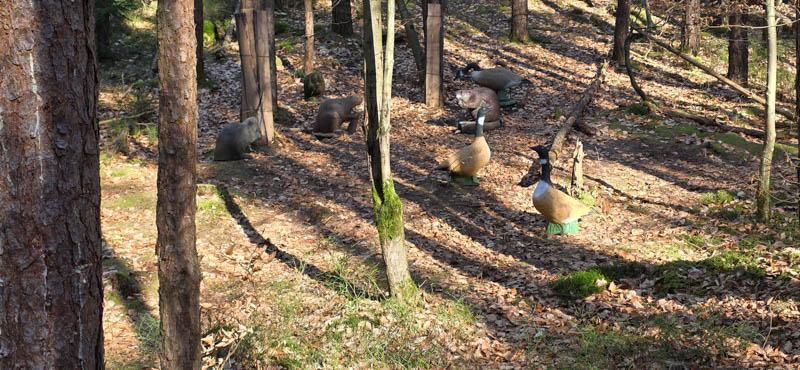 Abenberg 800er 050-bogenschiessen