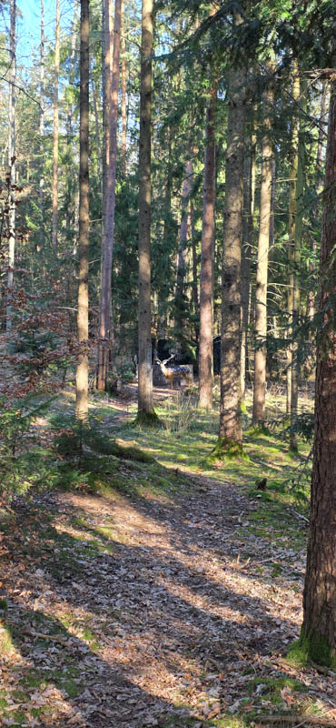 Abenberg 800er 051-bogenschiessen