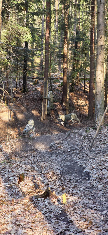 Abenberg 800er 053-bogenschiessen