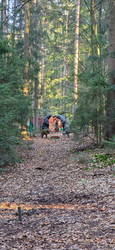 Abenberg 800er 057-bogenschiessen