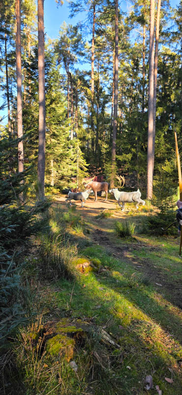 Abenberg 800er 060-bogenschiessen