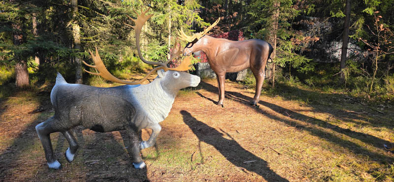 Abenberg 800er 061-bogenschiessen