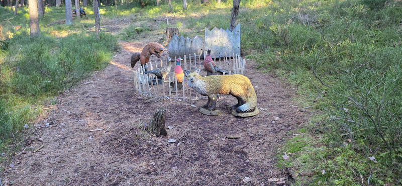 Abenberg 800er 062-bogenschiessen