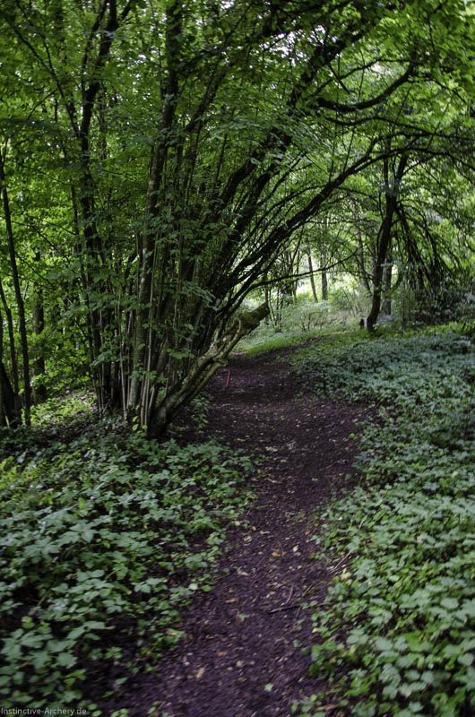 3D Bogenparcours am Geierfelsen in Pruppach 7-bogenschiessen I A 007 August 16 1141-bogenschiessen