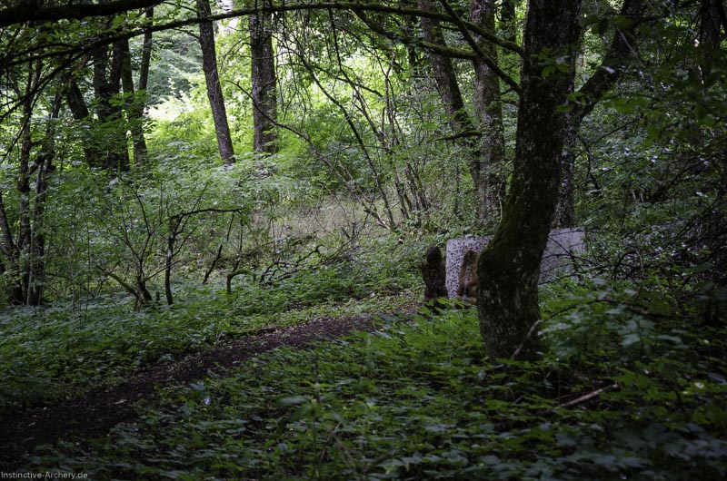 3D Bogenparcours am Geierfelsen in Pruppach 9-bogenschiessen I A 009 August 16 1144-bogenschiessen