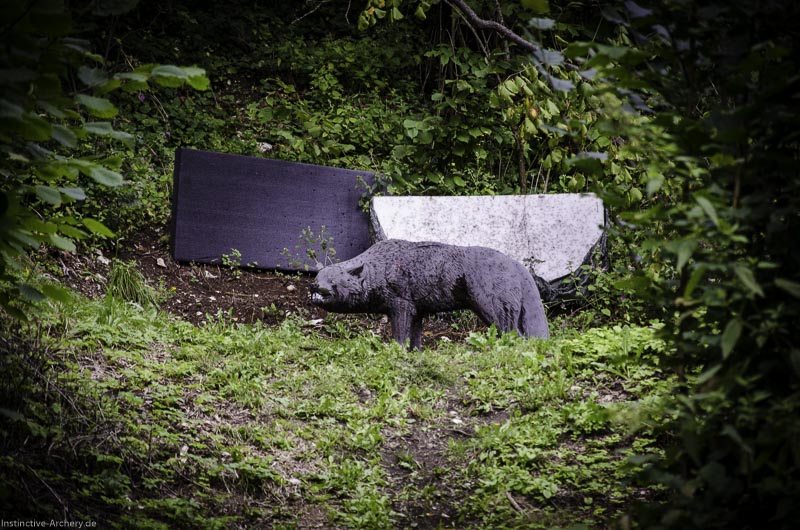 3D Bogenparcours am Geierfelsen in Pruppach 12-bogenschiessen I A 012 August 16 1149-bogenschiessen