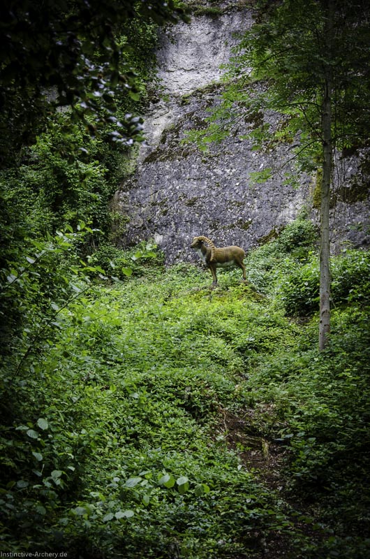3D Bogenparcours am Geierfelsen in Pruppach 18-bogenschiessen I A 018 August 16 1158-bogenschiessen