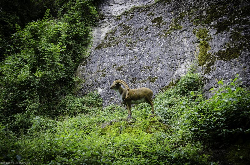 3D Bogenparcours am Geierfelsen in Pruppach 19-bogenschiessen I A 019 August 16 1160-bogenschiessen