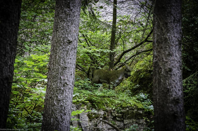 3D Bogenparcours am Geierfelsen in Pruppach 22-bogenschiessen I A 022 August 16 1163-bogenschiessen