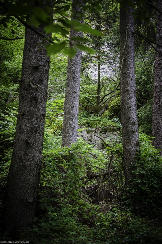 3D Bogenparcours am Geierfelsen in Pruppach 23-bogenschiessen I A 023 August 16 1164-bogenschiessen