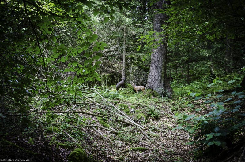 3D Bogenparcours am Geierfelsen in Pruppach 25-bogenschiessen I A 025 August 16 1168-bogenschiessen