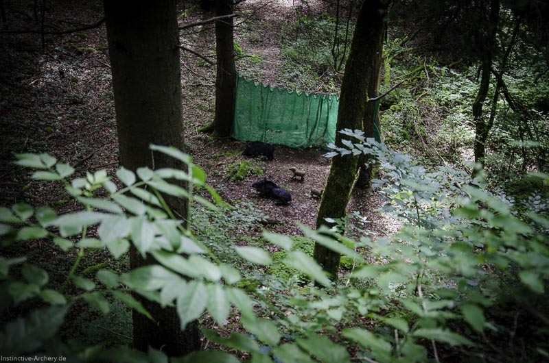 3D Bogenparcours am Geierfelsen in Pruppach 27-bogenschiessen I A 027 August 16 1174-bogenschiessen