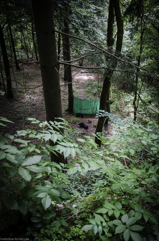 3D Bogenparcours am Geierfelsen in Pruppach 28-bogenschiessen I A 028 August 16 1175-bogenschiessen