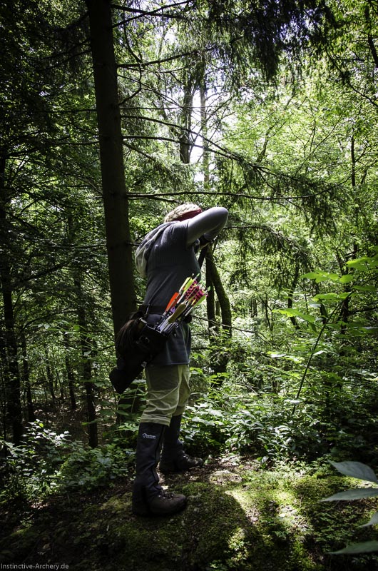 3D Bogenparcours am Geierfelsen in Pruppach 29-bogenschiessen I A 029 August 16 1178-bogenschiessen