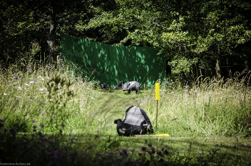 3D Bogenparcours am Geierfelsen in Pruppach 37-bogenschiessen I A 037 August 16 1191-bogenschiessen