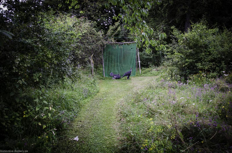 3D Bogenparcours am Geierfelsen in Pruppach 44-bogenschiessen I A 044 August 16 1203-bogenschiessen