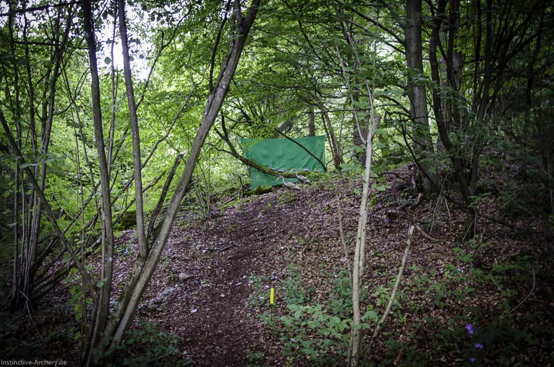 3D Bogenparcours am Geierfelsen in Pruppach 46-bogenschiessen I A 046 August 16 1205-bogenschiessen