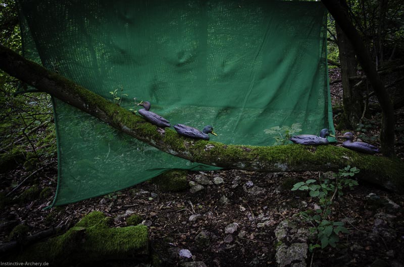 3D Bogenparcours am Geierfelsen in Pruppach 49-bogenschiessen I A 049 August 16 1209-bogenschiessen