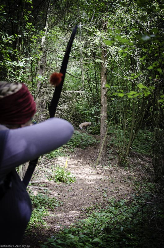3D Bogenparcours am Geierfelsen in Pruppach 50-bogenschiessen I A 050 August 16 1211-bogenschiessen