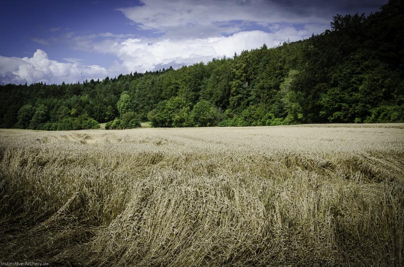 3D Bogenparcours am Geierfelsen in Pruppach 54-bogenschiessen I A 054 August 16 1217-bogenschiessen