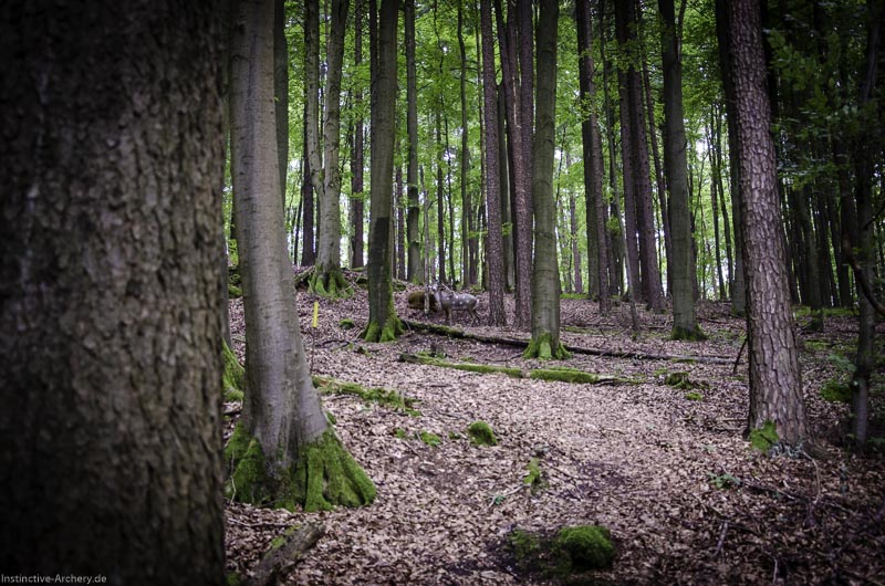 3D Bogenparcours am Geierfelsen in Pruppach 60-bogenschiessen I A 060 August 16 1229-bogenschiessen