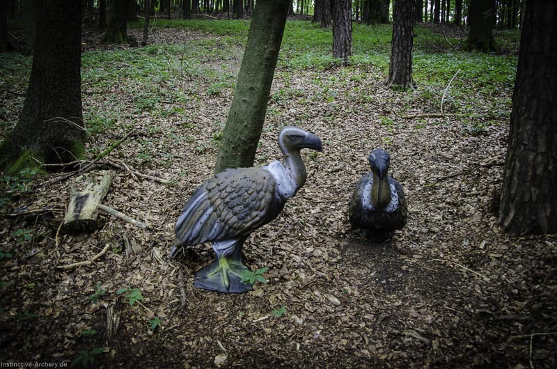 3D Bogenparcours am Geierfelsen in Pruppach 63-bogenschiessen I A 063 August 16 1233-bogenschiessen