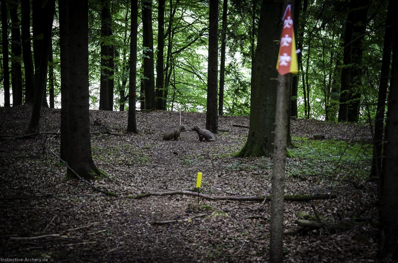 3D Bogenparcours am Geierfelsen in Pruppach 64-bogenschiessen I A 064 August 16 1234-bogenschiessen