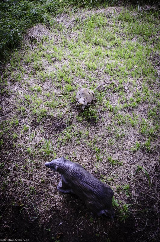3D Bogenparcours am Geierfelsen in Pruppach 75-bogenschiessen I A 075 August 16 1250-bogenschiessen