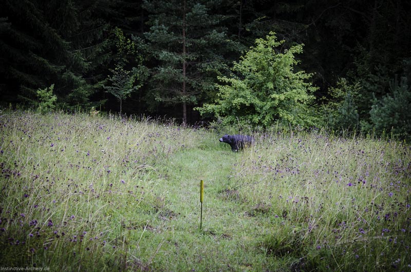 3D Bogenparcours am Geierfelsen in Pruppach 76-bogenschiessen I A 076 August 16 1251-bogenschiessen