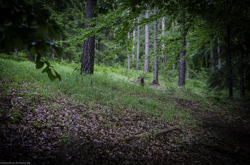 3D Bogenparcours am Geierfelsen in Pruppach 80-bogenschiessen I A 080 August 16 1255-bogenschiessen