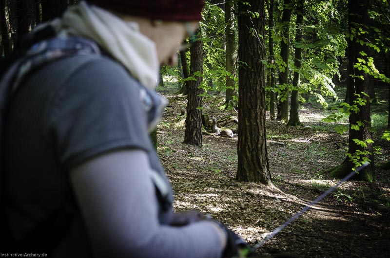 3D Bogenparcours am Geierfelsen in Pruppach 83-bogenschiessen I A 083 August 16 1258-bogenschiessen