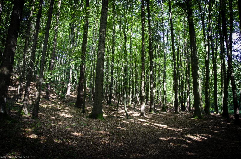 3D Bogenparcours am Geierfelsen in Pruppach 86-bogenschiessen I A 086 August 16 1262-bogenschiessen