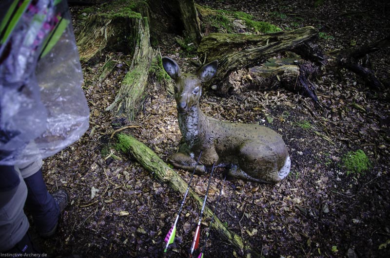 3D Bogenparcours am Geierfelsen in Pruppach 87-bogenschiessen I A 087 August 16 1264-bogenschiessen
