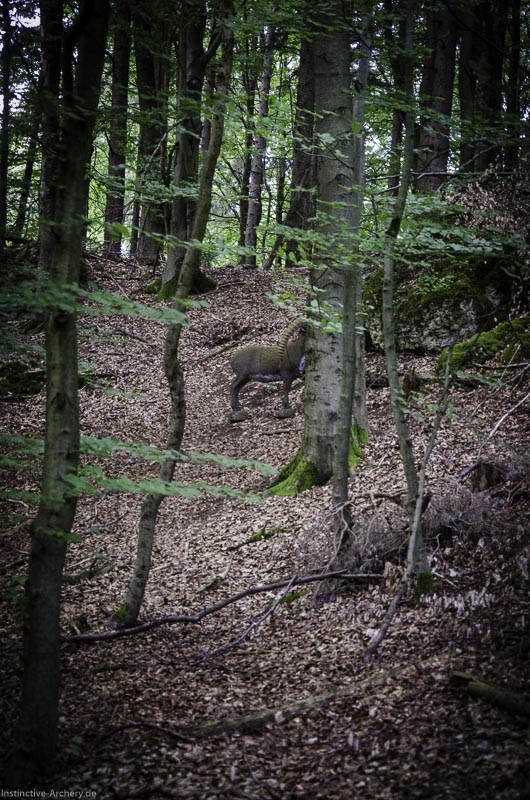 3D Bogenparcours am Geierfelsen in Pruppach 93-bogenschiessen I A 093 August 16 1272-bogenschiessen