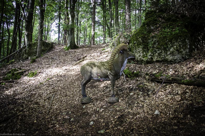 3D Bogenparcours am Geierfelsen in Pruppach 94-bogenschiessen I A 094 August 16 1274-bogenschiessen